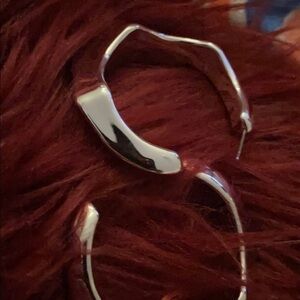 Fab fashion  earrings